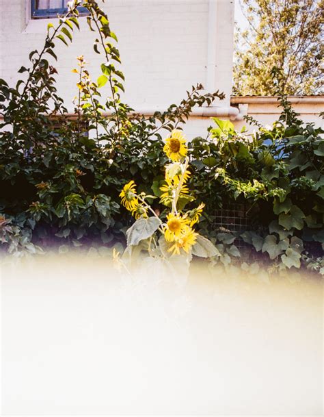 I Lost A Baby Late In Pregnancy Babe By Hatch