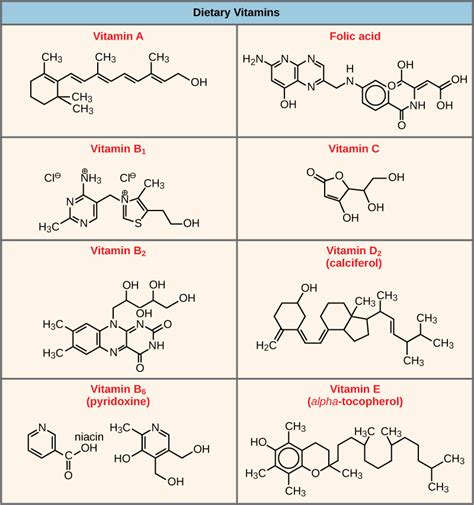Enzymes · Biology
