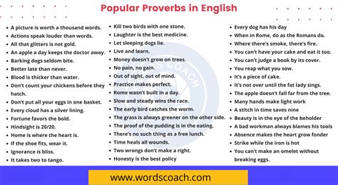 50 Popular Proverbs In English Word Coach