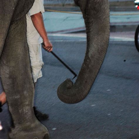 Week of Action - March 20-23, 2012 Help us flood Congress with calls