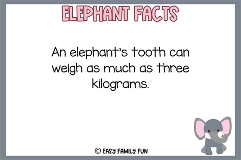 74 Cool Facts About Elephants [Free Fact Cards]