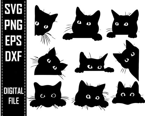 Cats Bundle Cute Cats Stencil Animal Png Clipart Home Animal Etsy