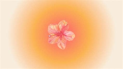 Summer Aesthetic Wallpaper Aura Hibiscus Flower En 2024 Fondo De