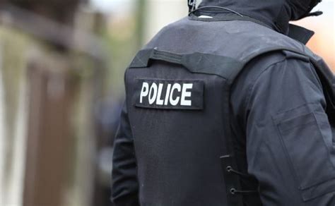 Спецчасти и жандармерия спряха мешере в Горна Оряховица — OFFNews