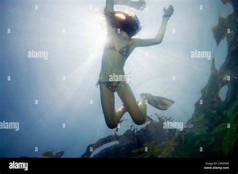 Thong Bikini Stock Photos Thong Bikini Stock Images Alamy