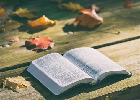 gambar bible backgrounds alkitab gratis pixabay