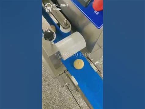 Осадочная машина автоматическая "Пищевые Цеха" - YouTube