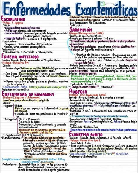 Enfermedades Exantematicas Yudoc Org Udocz