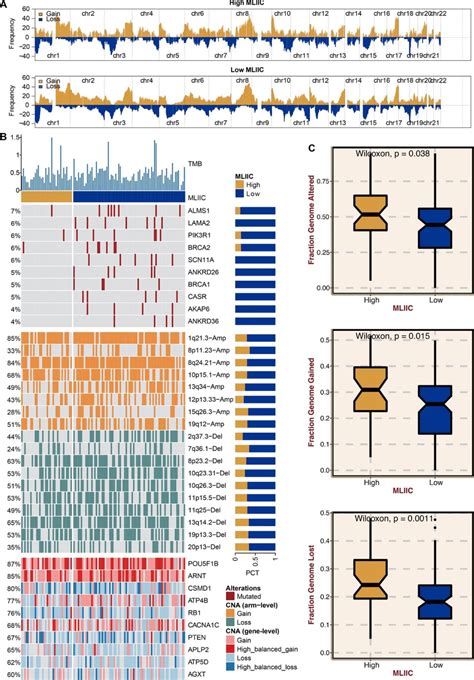 Multi Omics Alteration Characteristics Of The MLIIC Signature Score In