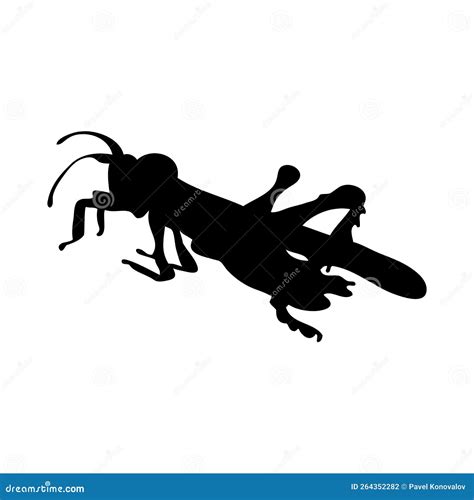 Grasshopper Silhouette Stock Vector Illustration Of Head 264352282