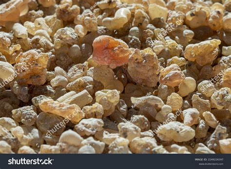 Shallaki: Over 7 Royalty-Free Licensable Stock Photos | Shutterstock