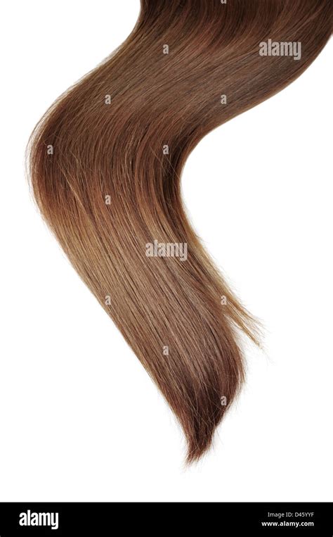 Brunette Hairy Hi Res Stock Photography And Images Alamy