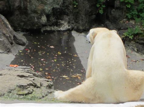 Wordless Wednesday From Behind With Linky Gay Nyc Dad