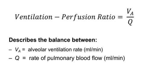 4 Ventilation Perfusion Ratio Flashcards Quizlet