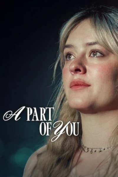 A Part Of You 2024 1080p NF WEB DL DUAL DDP5 1 H 264 FLUX