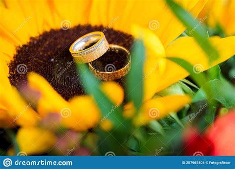 Wedding Rings On The Yellow Bride Bouquet Stock Photo Image Of