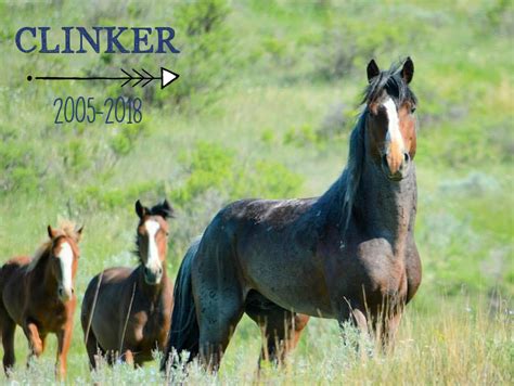 Memorial Clinker