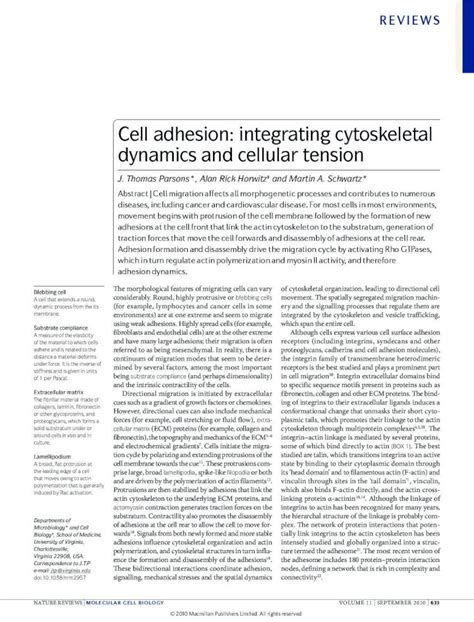 Pdf Cell Adhesion Integrating Cytoskeletal Dynamics And · Cellular Matrix Ecm Proteins