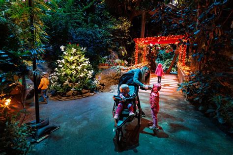 Cleveland Botanical Garden offers new holiday décor spectacular Nov. 19 ...