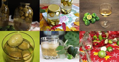 Блюда с фейхоа - 14 рецептов - 1000.menu