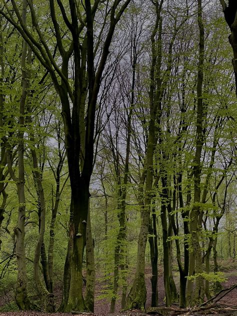 Getting Greenn | scuiczpv91 | Flickr