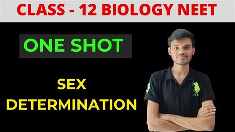Sex Determination Class Principles Of Inheritance Variation