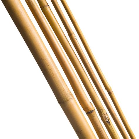 120 Cm Stake Bamboo Trellis Stake
