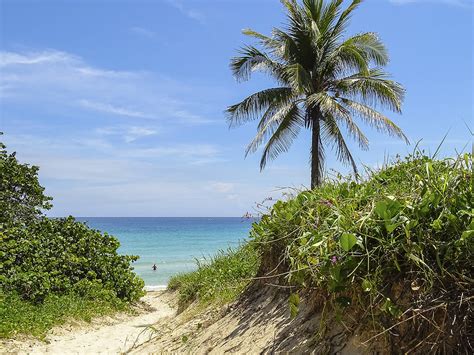 Te Invito A Conocer La Playa Gay Cubana Mi Cayito CubaConecta