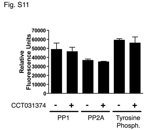 A Useful Approach To Identify Novel Small Molecule Inhibitors Of Wnt