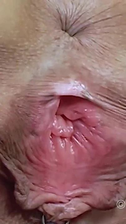 Key Moment From Horny MILF Patcy Kinky And Absolutely Sexy Pornstar Pornstar Porn XHamster