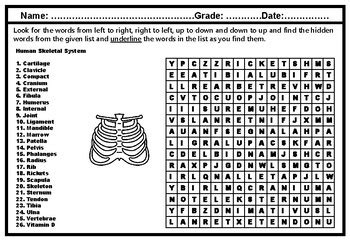 Results For Skeletal System Wordsearch TPT