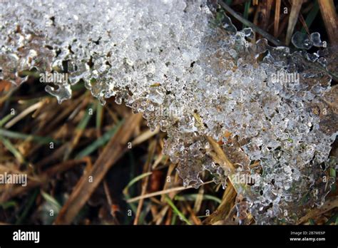 Macro photo of melting snow Stock Photo - Alamy