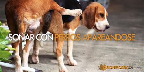 Soñar con perros apareándose