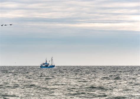 Open Ocean Fishing Stock Photos Pictures And Royalty Free Images Istock