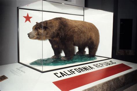 California Grizzly Bear - It Was Very Good • False(B)logic