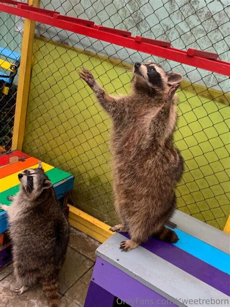 Andreaschibono Skybon Nude Leaks OnlyFans OnlyFans Fapellino