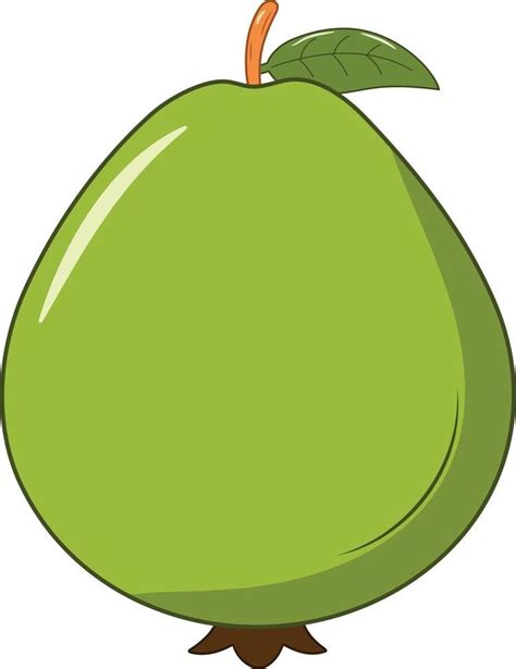 Fresh Guava With Green Leaf Vector Illustration