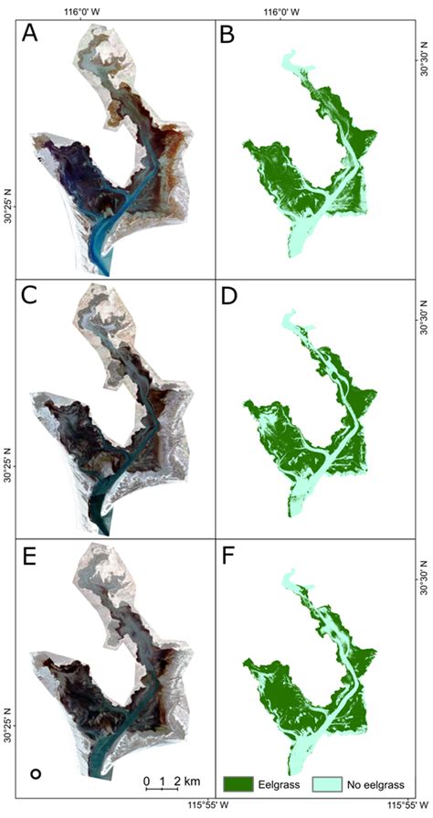 Emerging Sensor Platforms Allow For Seagrass Extent Mapping In A Turbid Estuary And From The