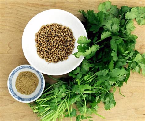 Специи, пряности, пищевые добавки, приправы, как приготовить соус ...