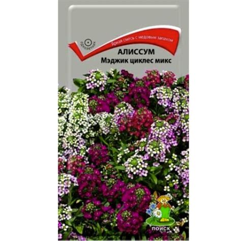 Семена Алиссум Мэджик циклес микс — купить в Санкт-Петербурге: цена за ...