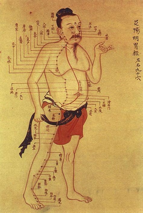 Antique Chinese Acupuncture Chart Illustration Anatomical Print Digital