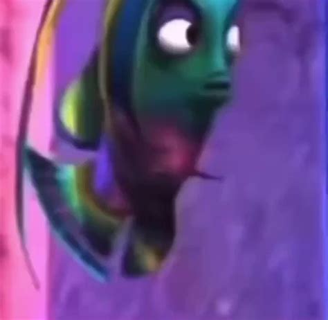 The Memes Archive On Twitter RT TheMemesArchive Judgmental Gay Fish