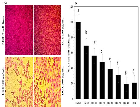 Scielo Brasil Nutritional Significance Antimicrobial Antioxidants