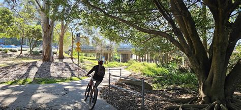 Help Stop A Murphy Road Disaster At Chermside Brisbane North Bug