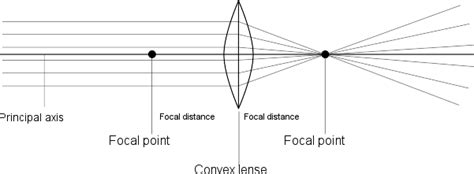 Method For Drawing Ray Diagrams Convex Lens Atelier Yuwaciaojp