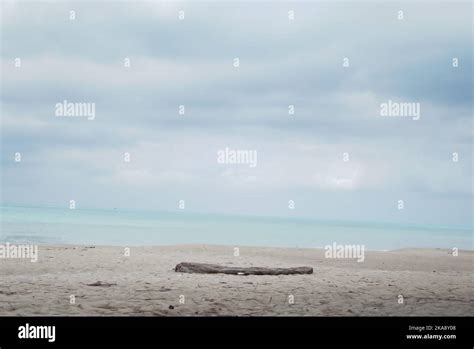 A Piece Of Wood On A Sandy Beach In Sungailiat Bangka Island