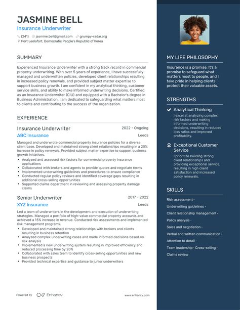 Insurance Underwriter Resume Examples How To Guide For