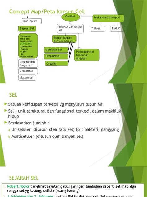 Concept Mappeta Konsep Cell Pdf