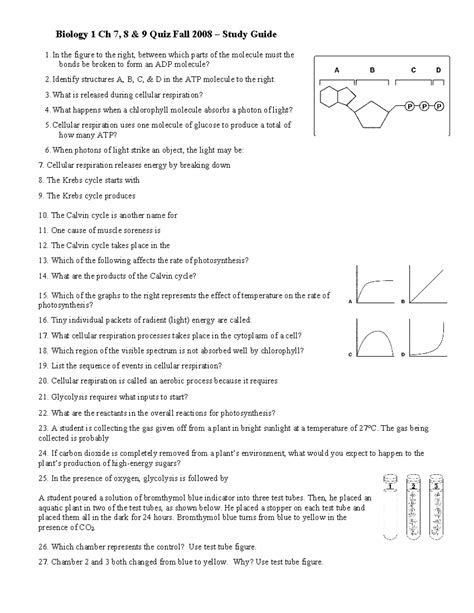 Biology 1 Ch 7, 8 & 9 Quiz Study Guide - Fall 2008 - Studocu