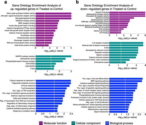 Gene ontology enrichment analysis of differentially expressed genes ...